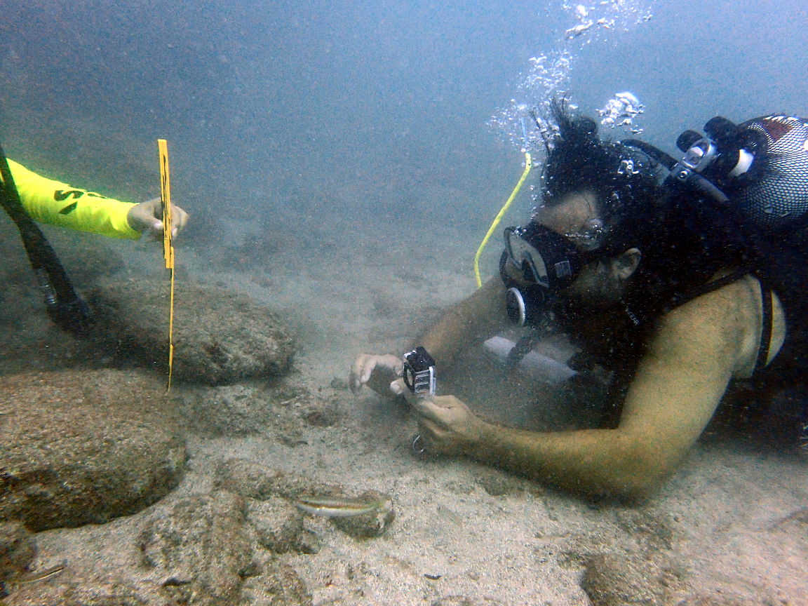 Underwater recording (photo - Dave Johnston)